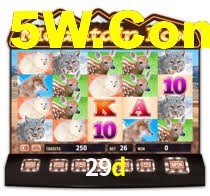 Daily Bonuses 29d