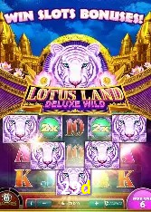 Provedores de Jogos 29d